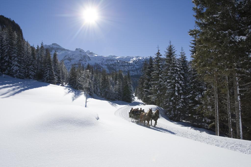 Urlaubsland Sonnfeld * Flachau